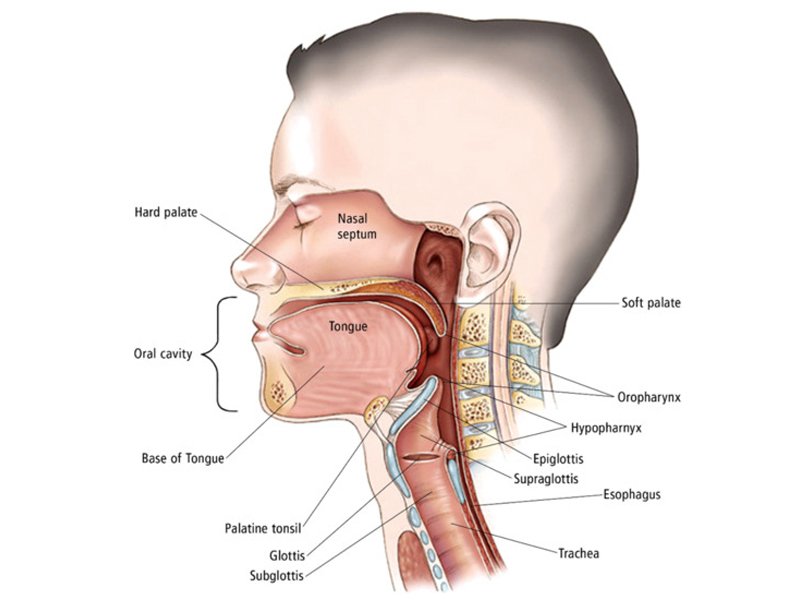 Oral Cancer Treatment in Ahmedabad