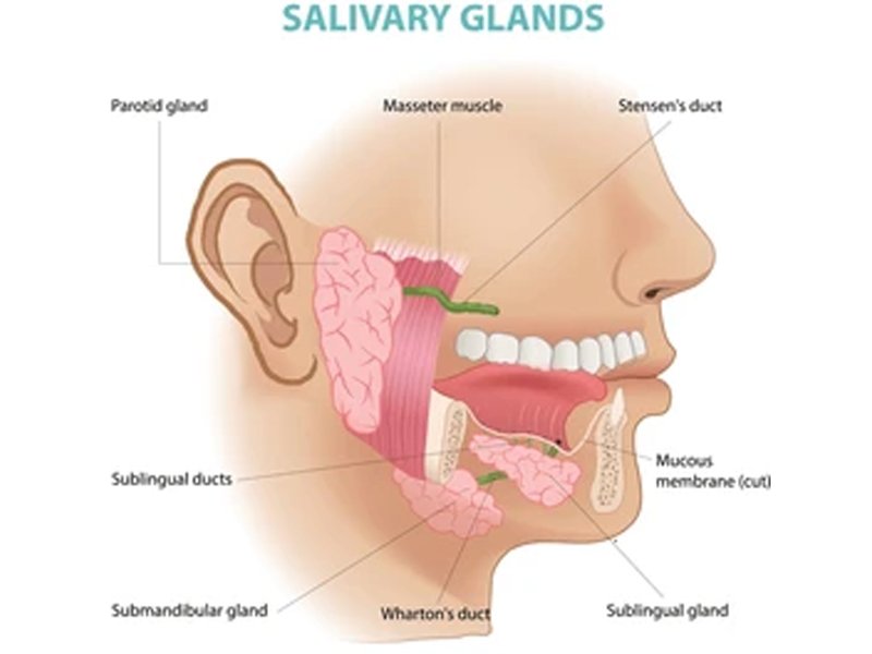 Salivary Gland Surgery in Ahmedabad